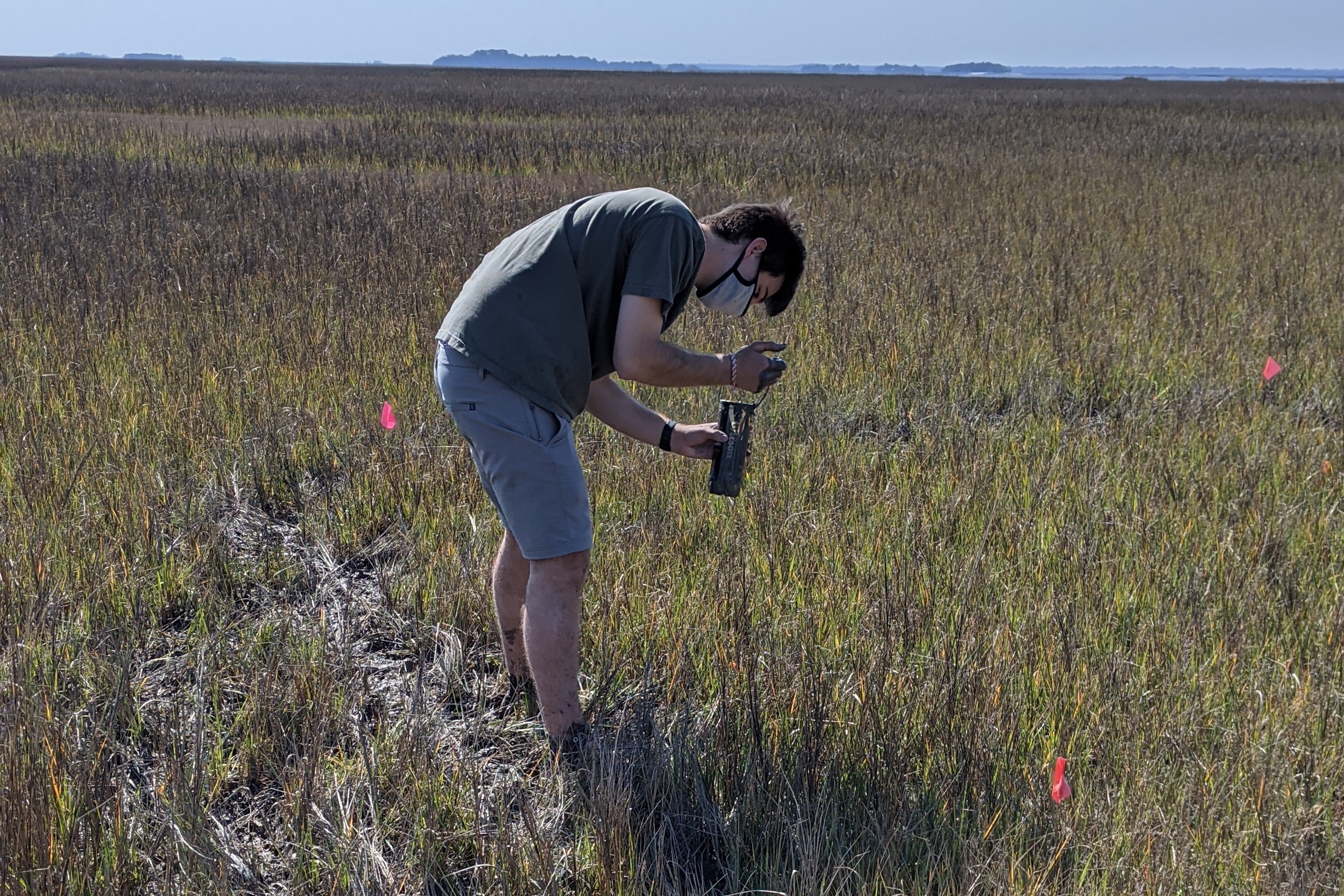 Student checking pitfall traps for Mark-Release-Recapture study