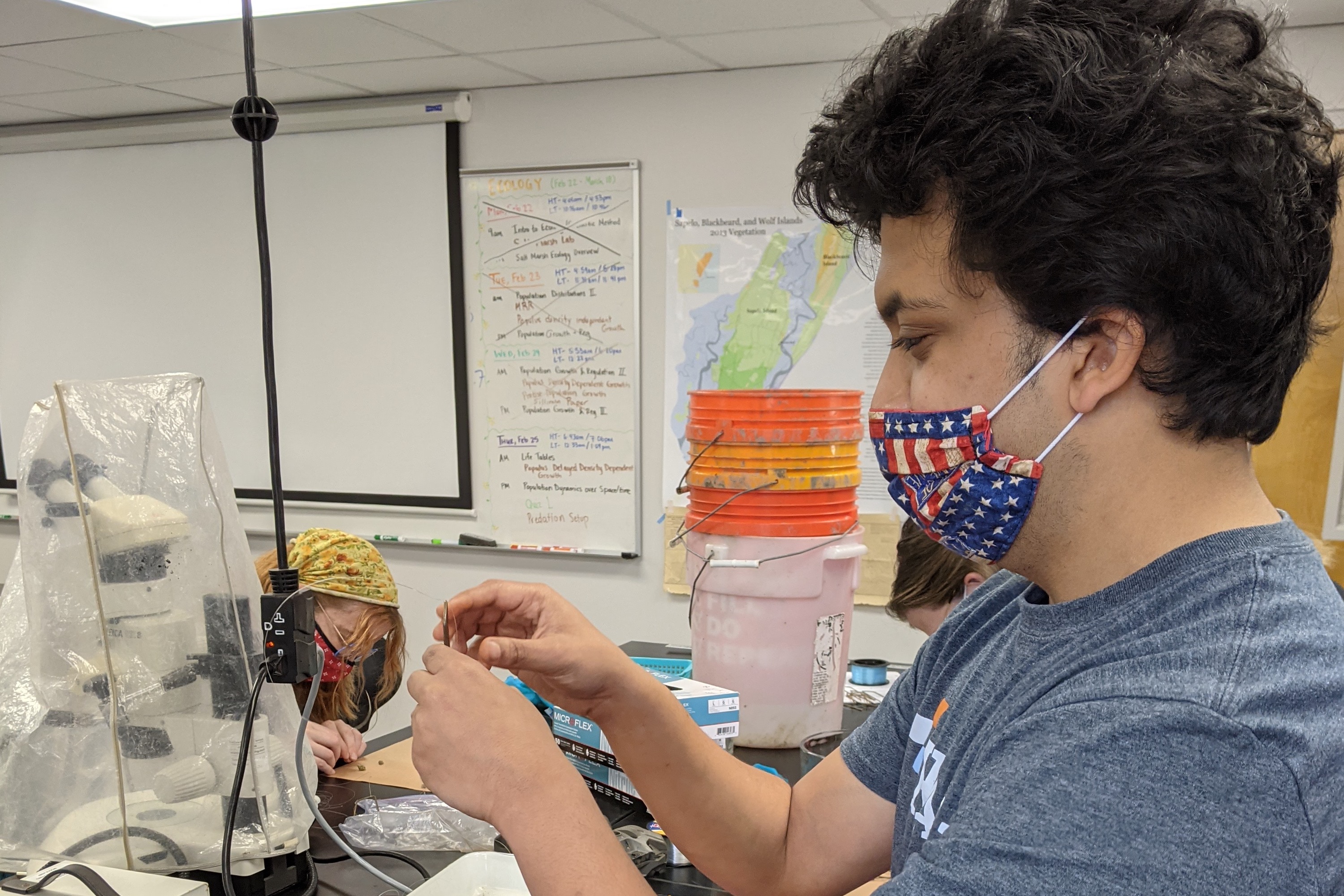 Student tethering snails for a predation experiment